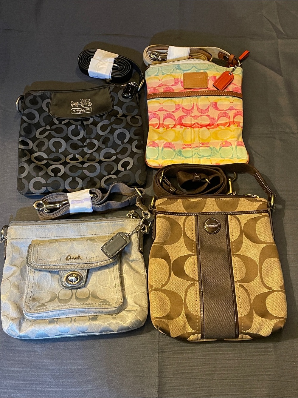 Coach Multicolor, Black, Silver, and Brown Crossbody Bag Set